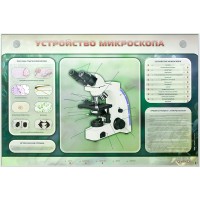 Электрифицированный стенд "Устройство микроскопа и правила работы c ним"