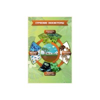 Стенд "Строение экосистемы"