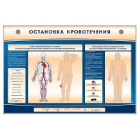 Электрифицированный стенд-тренажер "Остановка кровотечения"