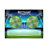 Электрифицированный координационно-развивающий спортивный комплекс "Меткий"